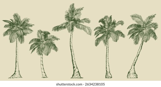 Elegant Palm Trees in Line Art Style. Minimalist botanical vector perfect for prints, branding, packaging, and modern design projects.