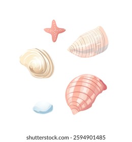 Elegant pastel seashell illustration with soft shading. Beautiful pink scallop shell digital artwork