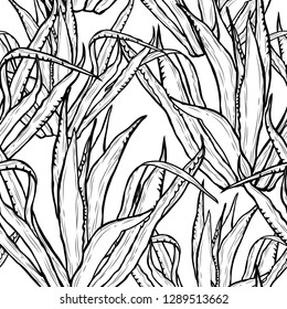 Elegant  pattern with agave plants, design elements. Floral  pattern for invitations, cards, print, gift wrap, manufacturing, textile, fabric, wallpapers. Succulents