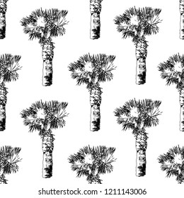Elegant pattern with decorative palm trees, design elements. Exotic pattern for invitations, greeting cards, scrapbooking, print, gift wrap, manufacturing