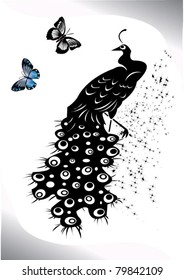 elegant Peacock