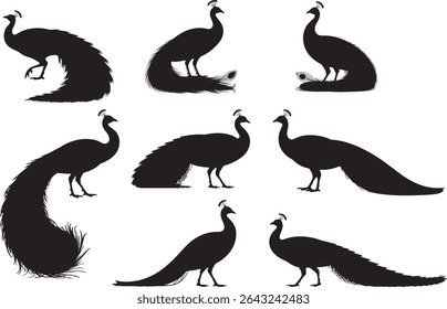 Elegant Peacock Silhouette Collection Exotic Bird Set