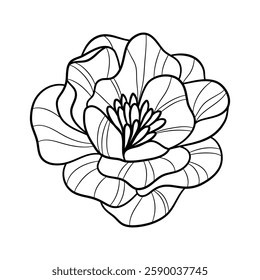 Elegant peony silhouette with intricate doodle details perfect for logo and vector design