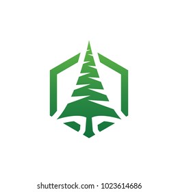 Elegant pine tree in hexagon shape logo design template vector