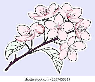 Elegant pink cherry blossom branch illustration. Perfect for spring designs, wedding invitations, or feminine branding. High-resolution vector graphic with delicate details.