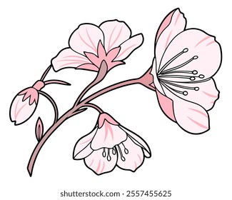 Elegant pink cherry blossoms branch illustration. Perfect for spring designs, cards, websites, and more.  Features delicate details  a soft color palette. Ideal for adding a touch of nature.