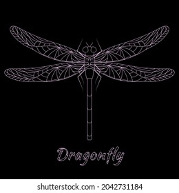 Elegant pink dragonfly. Vector illustration.