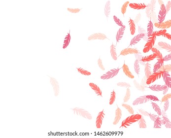 Elegant pink flamingo feathers vector background. Plumage glamour fashion shower decor. Detailed majestic feather on white design. Lightweigt plumelet windy floating pattern.