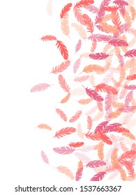 Elegant pink flamingo feathers vector background. Falling feather elements soft vector design. Soft plumelet native indian ornament. Plumage bohemian fashion shower decor.