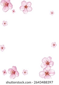 Elegant pink flower petals scattered on a white background, perfect for romantic designs, spring themed projects, invitations, or wallpapers. Delicate, fresh, and visually captivating.