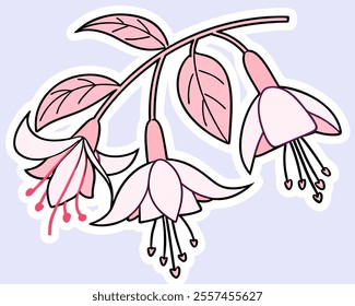 Elegant pink fuchsia flowers, delicately illustrated. Perfect for wedding invitations, feminine branding, or adding a touch of floral charm to your designs. High-resolution vector graphic.