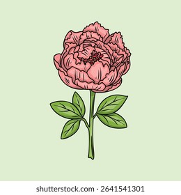 Elegant Pink Peony Flower Illustration