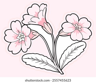 Elegant pink primrose flowers, delicate line art, perfect for spring designs, textile prints, or feminine branding.  Adds a touch of romantic charm.