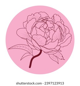 Elegant pink and red peony outline realistic