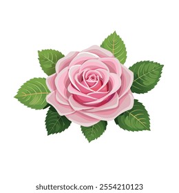  Elegant pink rose with detailed petals and green leaves on a white background. Design for banners, cards, flyers, celebration, wedding, invitation, social media wallpapers.