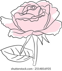 Elegant pink rose illustration with delicate details and a single green leaf