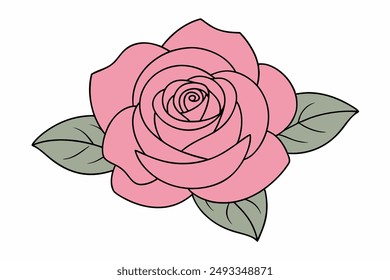 Ilustración vectorial rosa elegante