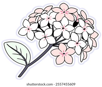 Elegant pink and white flower cluster illustration, perfect for spring designs, wedding invitations, or feminine branding.  High-resolution vector graphic with delicate details.