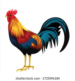 Elegant Portrayal of a Rooster: Stunning Vector Design