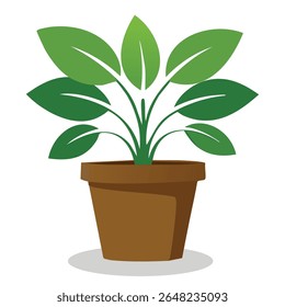 Planta em vaso elegante - Ilustração de vetor plana