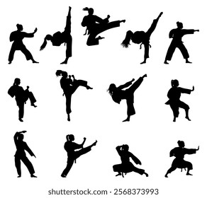 Elegant and Powerful, Women’s Martial Arts Silhouettes.