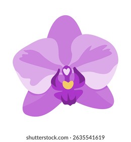 Elegant Purple Orchid Flower Head Isolated