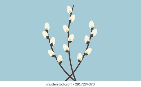 Elegant pussy willow branches with soft fluffy buds arranged beautifully against a light blue pastel background.