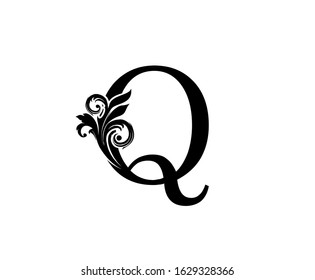 Elegant Q Letter Swirl Logo. Black Q With Classy Leaves Shape design perfect for fashion, Jewelry, Beauty Salon, Cosmetics, Spa, Hotel and Restaurant Logo. 