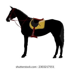 Elegant racing black horse vector illustration isolated on white background. Hippodrome sport event. Jet set entertainment. Equestrian rider jumping over barrier. Handsome noble animal pet.