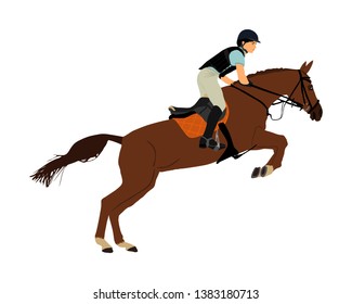 Elegant racing horse in gallop vector illustration isolated on white background. Jockey riding horse. Hippodrome sport event. Entertainment gambling. Equestrian rider in jumping over barrier show.