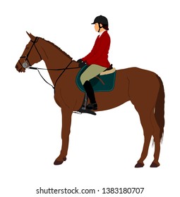 Elegant racing horse portrait vector illustration isolated on white background. Jockey lady riding horse. Hippodrome sport event. Entertainment gambling. Equestrian rider in jumping over barrier show.