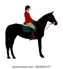 Elegant racing horse portrait vector illustration isolated on white background. Jockey lady riding horse. Hippodrome sport event. Entertainment gambling. Equestrian rider in jumping over barrier show.