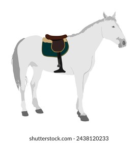 Elegant racing white horse vector illustration isolated on white background. Hippodrome sport event. Jet set entertainment. Equestrian rider jumping over barrier. Handsome noble animal pet.