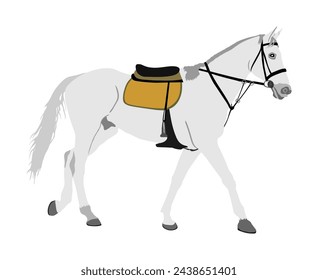 Elegant racing white horse vector illustration isolated on white background. Hippodrome sport event. Jet set entertainment. Equestrian rider jumping over barrier. Handsome noble animal pet.