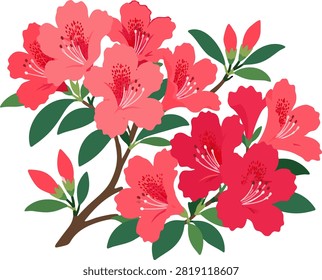 Elegante pétalo rojo celeste