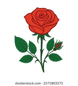 Elegant Red Rose with Bud and Leaf Illustration: Romantic Floral Vector Art for Weddings, Anniversaries, Invitations, or Valentine's Day gift Isolated Sketch-Style Bloom on White Background