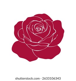 elegant red rose flower on white background. hand drawn vector illustration	
