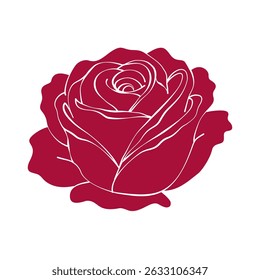 elegant red rose flower on white background. hand drawn vector illustration	
