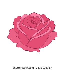 elegant red rose flower on white background. hand drawn vector illustration	
