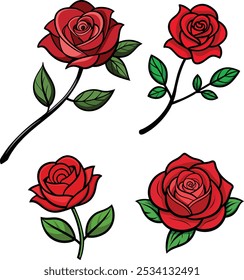 Elegant Red Rose Vector Illustration A Timeless Symbol of Love and Natural Beauty