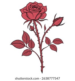Elegant Red Rose Vector Illustration