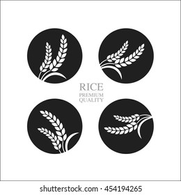 Elegant Rice vector of the world.