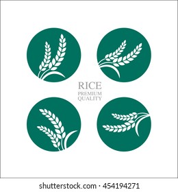 Elegant Rice vector of the world.