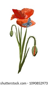 Elegant, romantic plant composition with red poppy and butterfly. Vector. It can be used for stylish greeting cards, packages, textiles, T-shirts, prints, tiles. Print on a white background.