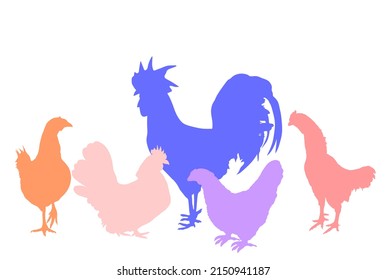 Elegant Rooster and chickens vector silhouette illustration isolated on white background. Male chicken and hen shape. Farm chantry cock. Organic food symbol. Poultry bird family shadow.