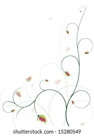 Elegant rose background