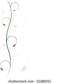 Elegant rose background