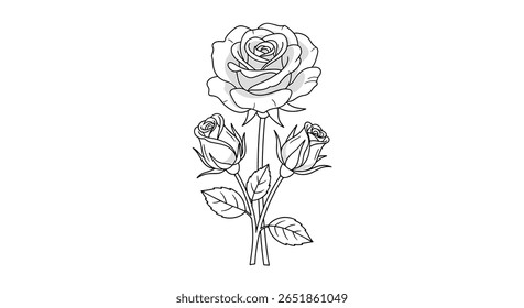 Elegant Rose Bouquet With Blooming Buds and Green Leaves Design