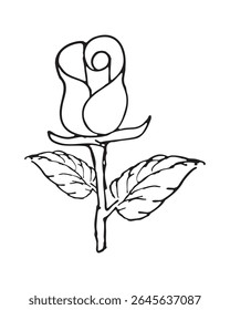 Elegante Rose Bud Vetor Ilustração Preto Contorno Desenho Isolado no Fundo Branco