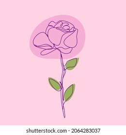 Elegant Rose in Continuous Line Drawing Isolated on Pink Background. Sketchy Flower. Vector Outline Simple Artwork with Editable Stroke.